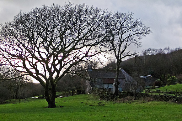 Welsh Country Farm