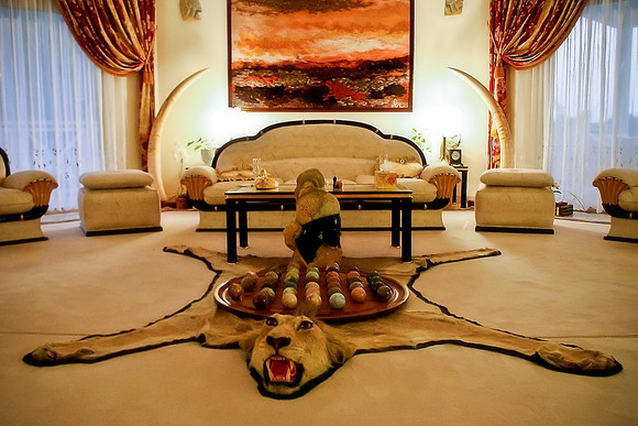 The Lion's Room