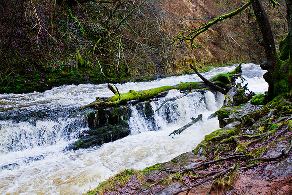 Riverview, Vale of Neath