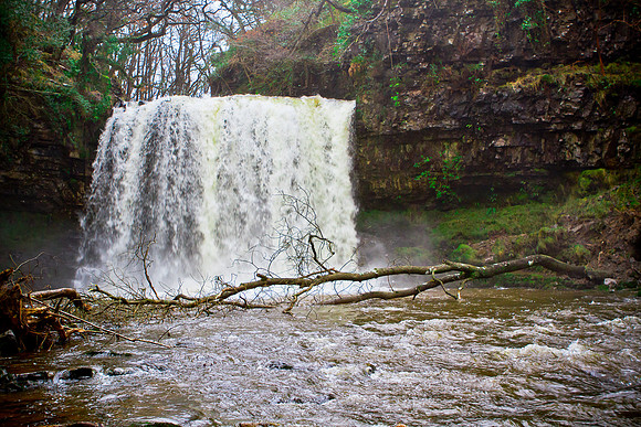 Falls Of Snow