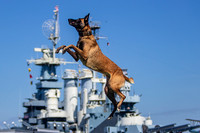 Battleship Splash 2025 - Sunday 7/20/25