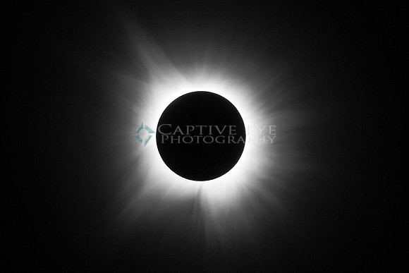 Great American Eclipse 2024: Corona (1)